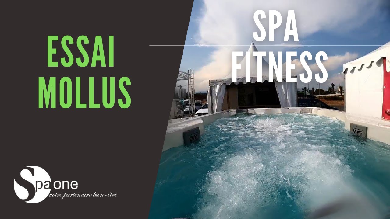 Essai spa de nage - SPA ONE