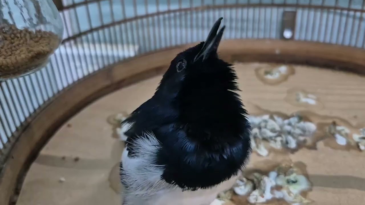 Thăm em mùng 3 tết 2026