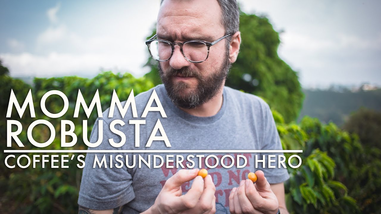 Mama Robusta - Coffee's misunderstood hero