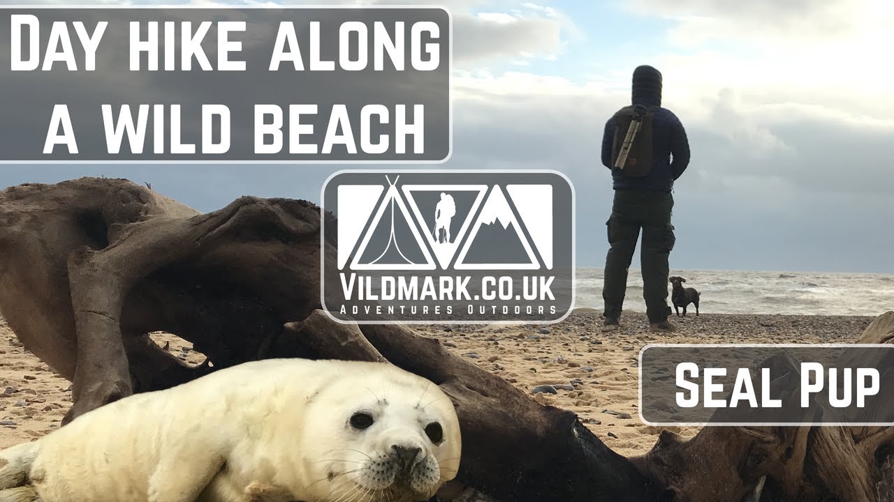 Day Hike Along the beach | Gear Load Out Fjallraven Singi 20L | What's in my Day Bag