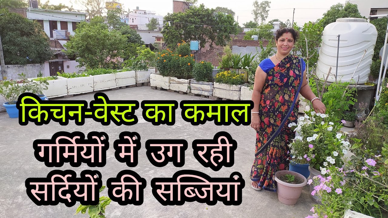 Gardening with kitchen waste किचन वेस्ट से गार्डनिंग