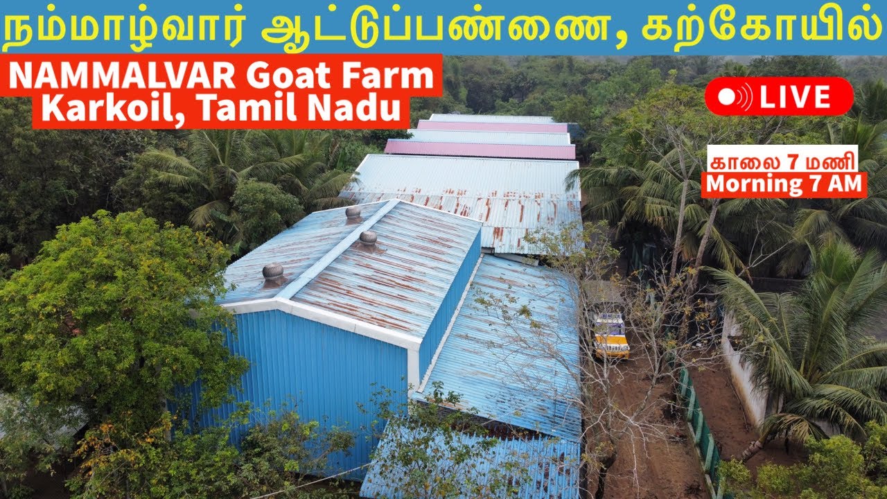 நம்மாழ்வார் ஆட்டுப்பண்ணை, 🐐 கற்கோவில் | Successful Goat Farm
