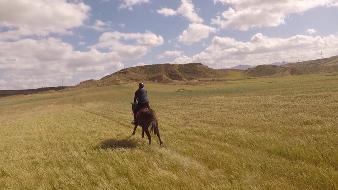 Horse Riding Adventure #46 - Galloping In The Countryside