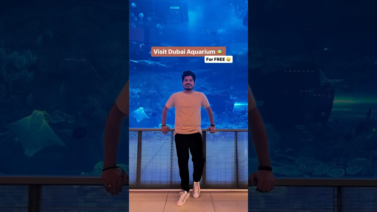 Dubai Aquarium for FREE! 🤑 #dubai #trending #dubaireels #dubaiaquarium #shorts