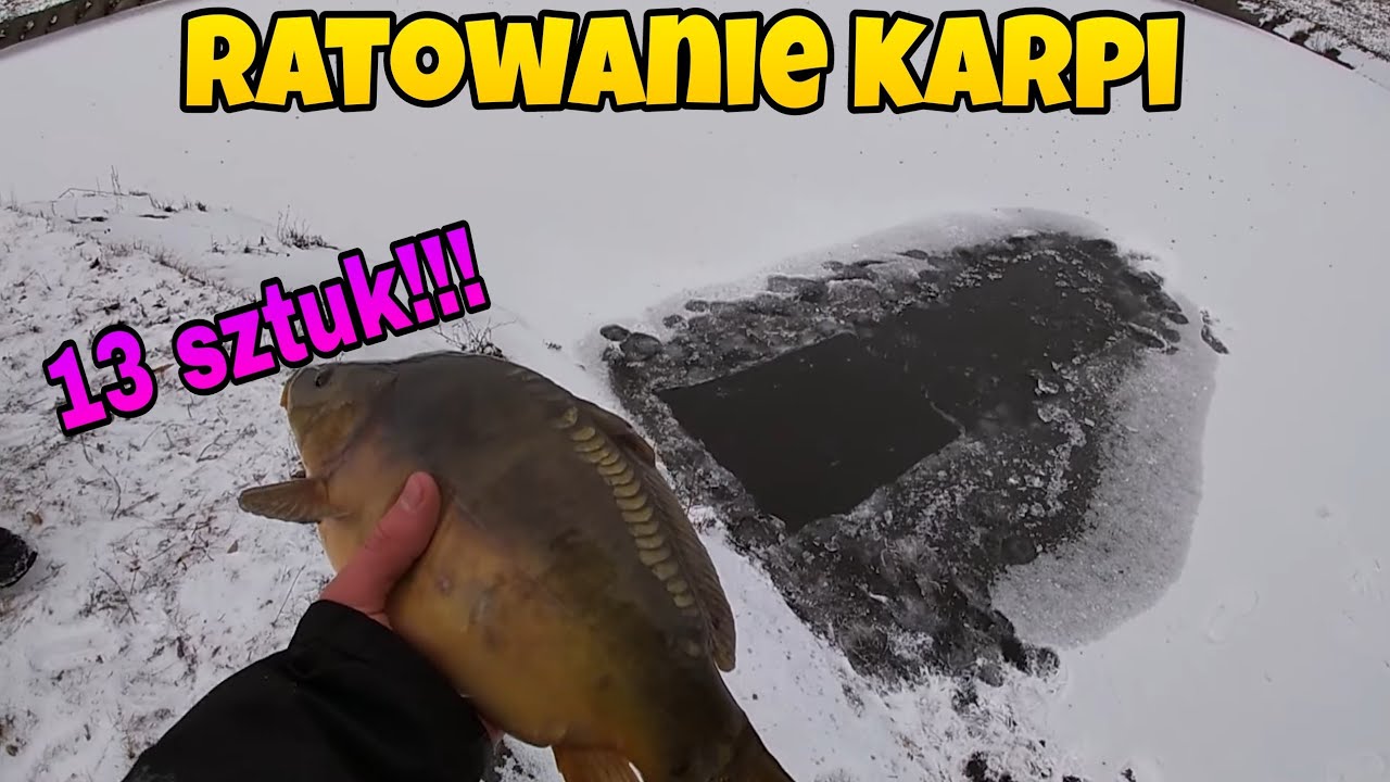 WIELKIE RATOWANIE 13 ŚWIĄTECZNYCH KARPI !!! (plus linek :p)