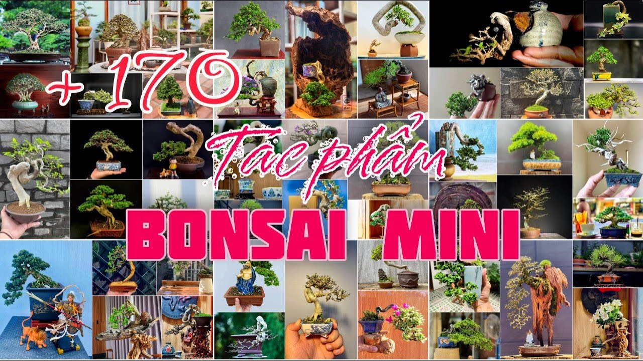 +170 Mini Bonsai Works _ Super Mini Bonsai II Bonsai tree II Collection Clip 2