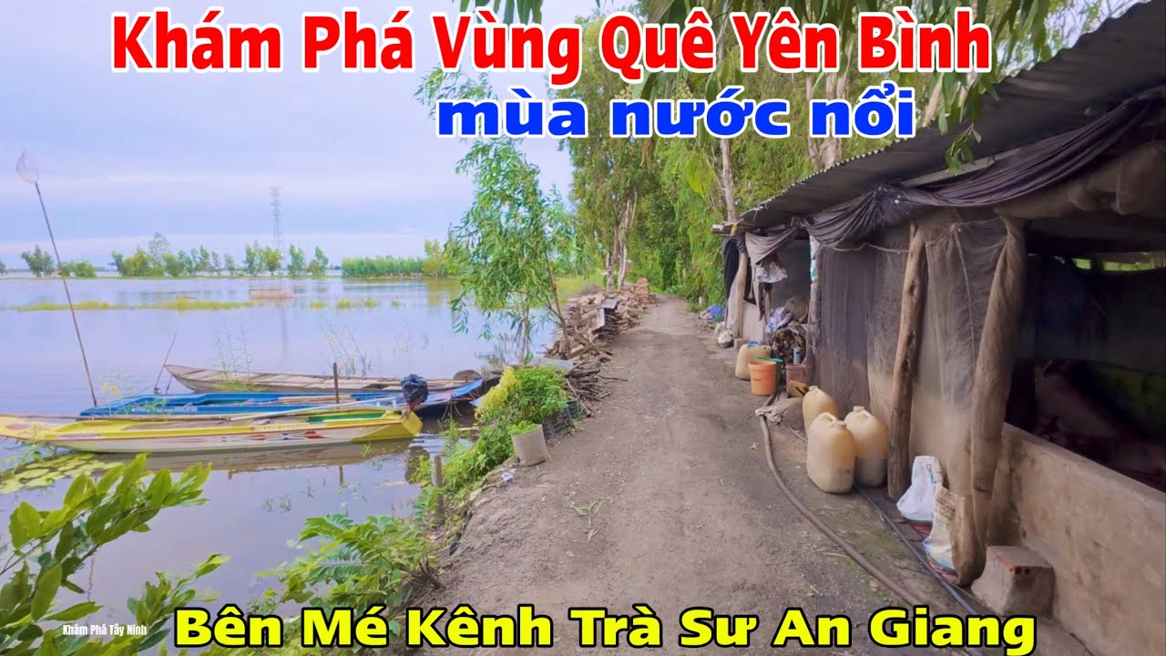 Khám Phá Vùng Quê Yên Bình Mùa Nước Nổi Rừng Tràm Trà Sư Tỉnh An Giang