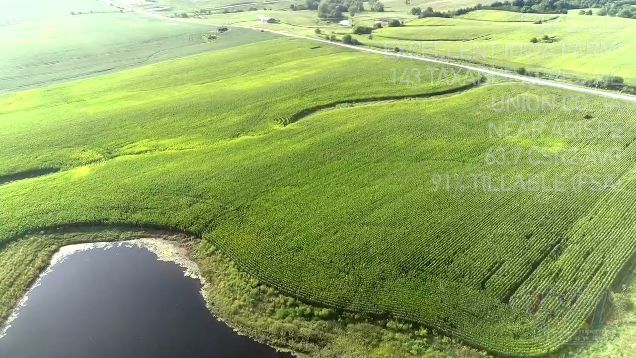For Sale - 143 Acres, ML, Excellent Iowa Crop Farm Near Arispe, Union Co.