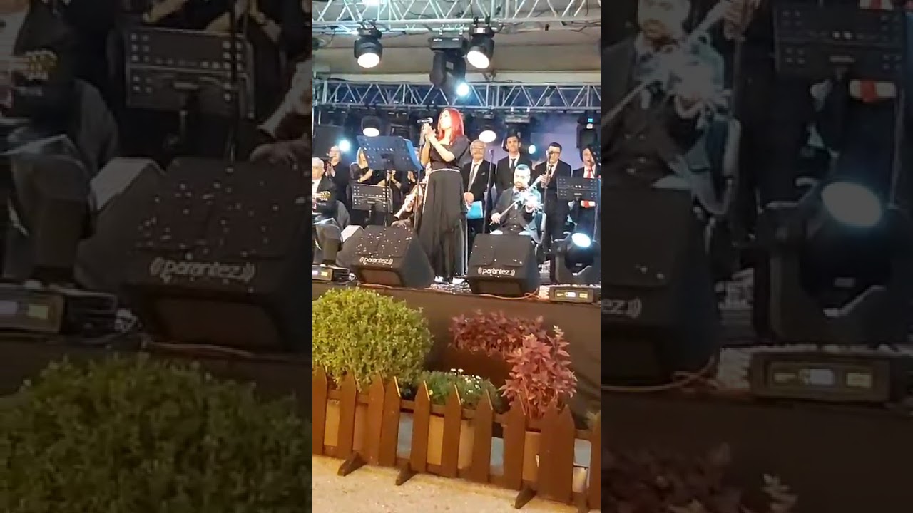 Böyle gelmiş böyle geçer dünya