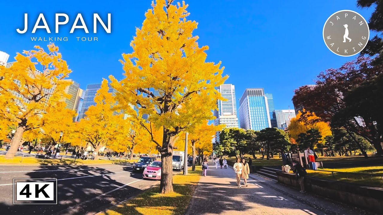 Autumn Walk from the Imperial Palace to Hibiya Park | Japan Walking Tour【4K | 60fps】