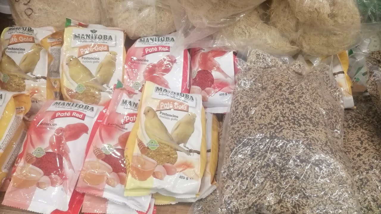 THỨC ĂN CHO CHIM YẾN HÓT ĐẢM BẢO ĐỦ DINH DƯỠNG - SDT :0377281818 @chimyenhotvietnam