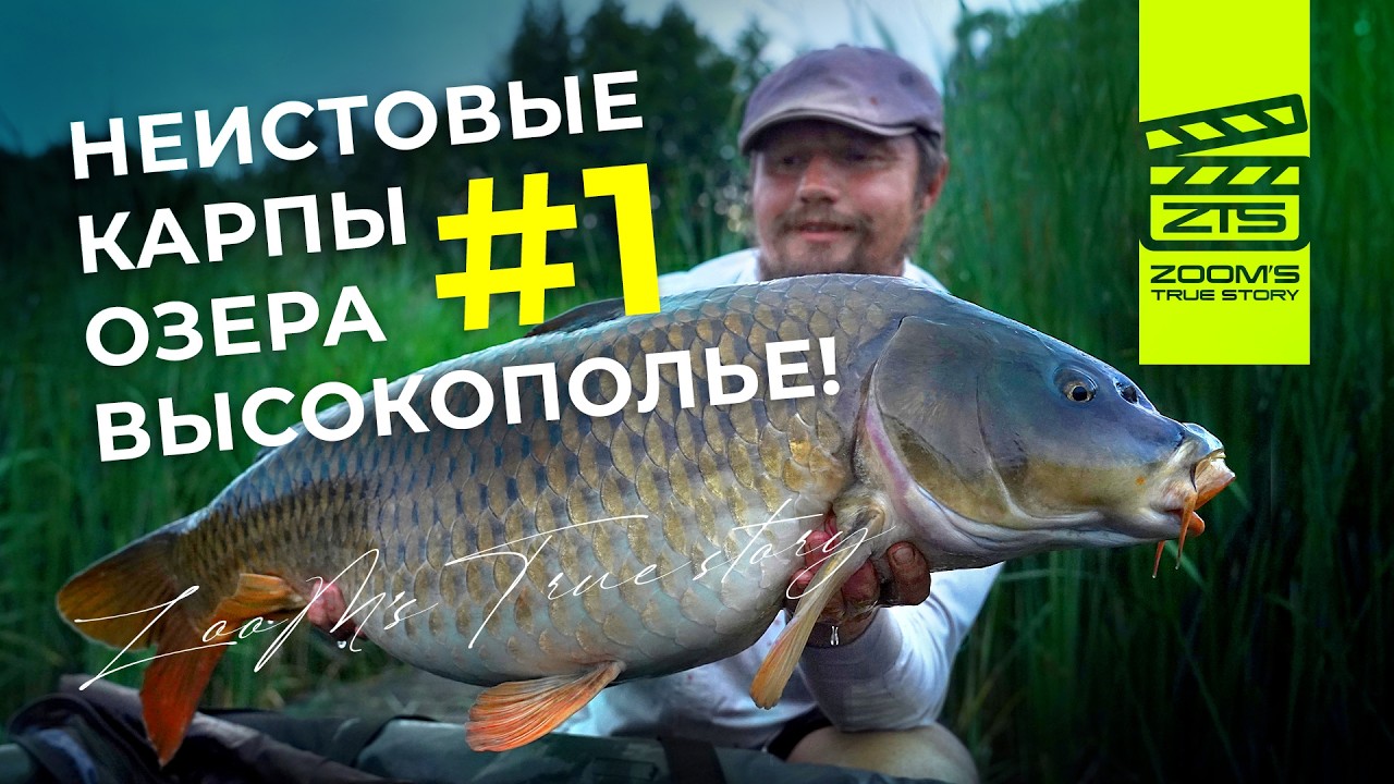 Неистовые карпы озера Высокополье / Часть #1 / ZooM&rsquo;s True Story