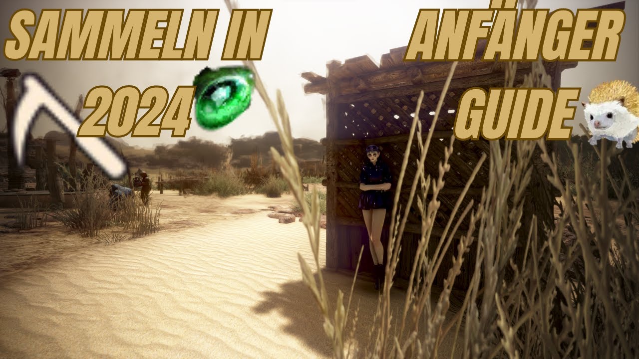 Sammeln in 2024 der Anfänger Guide