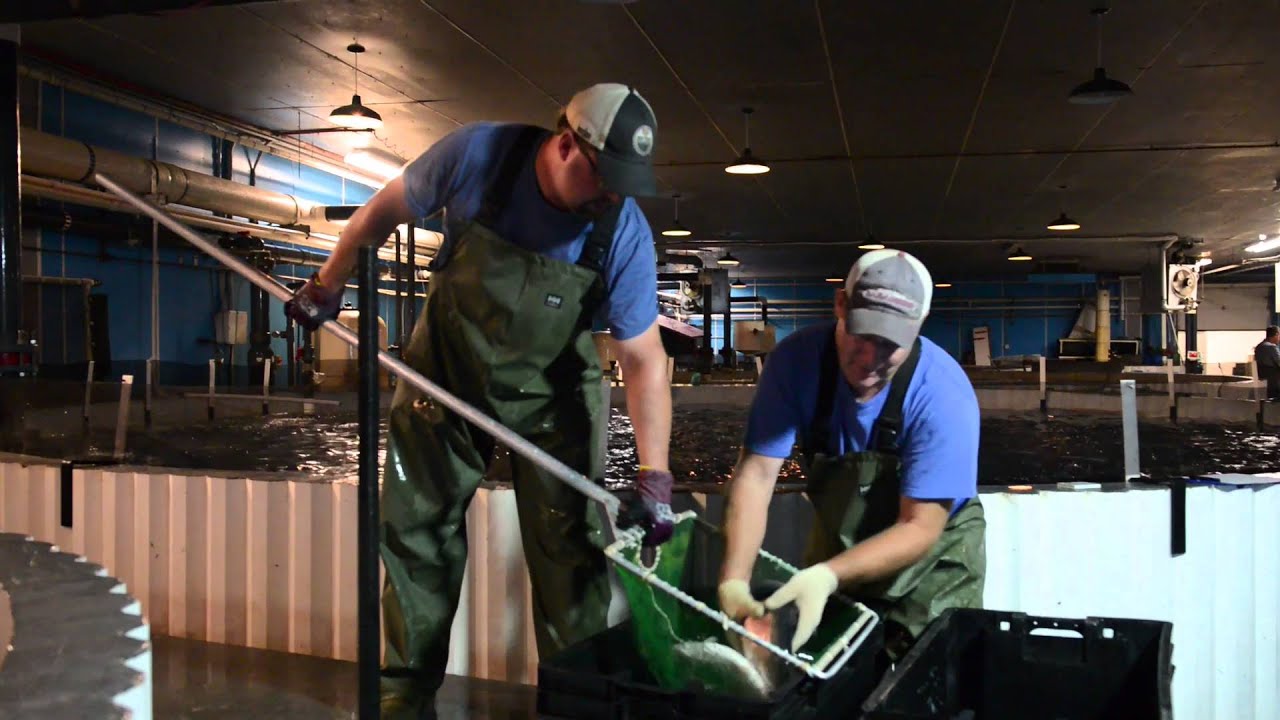 Blue Two LTD Partnership Industry Spotlight - Pentair AES