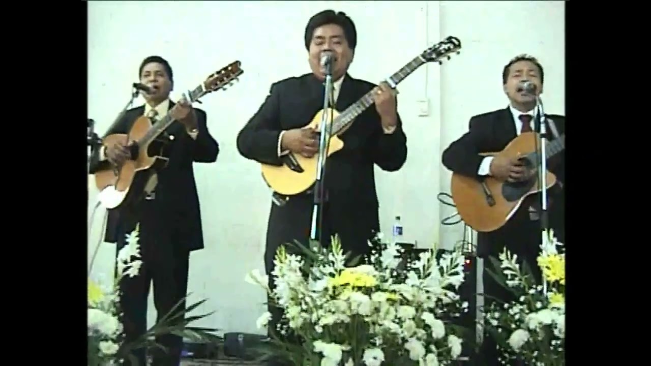 Gracias, señor (Paladines del Reino)