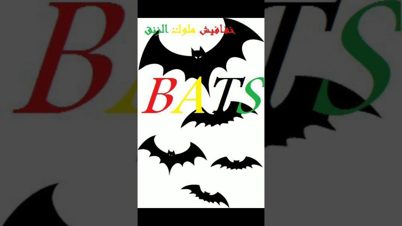 طارق بنه و ود راوة