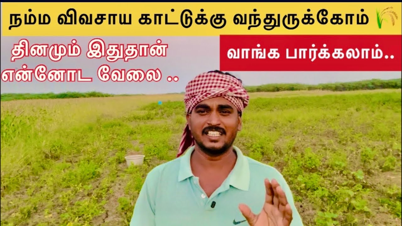 Namma Vivasaya Kaattukku povoma 🌱 inga than daily velai naan parpen ❤️ 