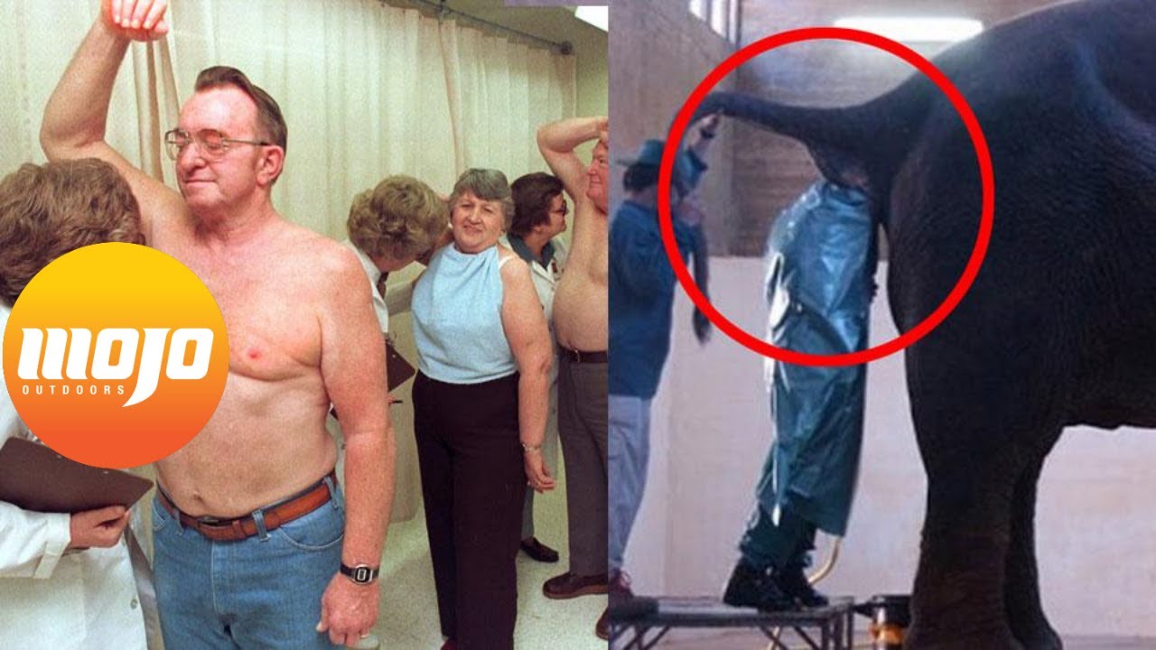 World's Most Unbelievable Jobs: The Weirdest and Interesting Jobs from Around The World
