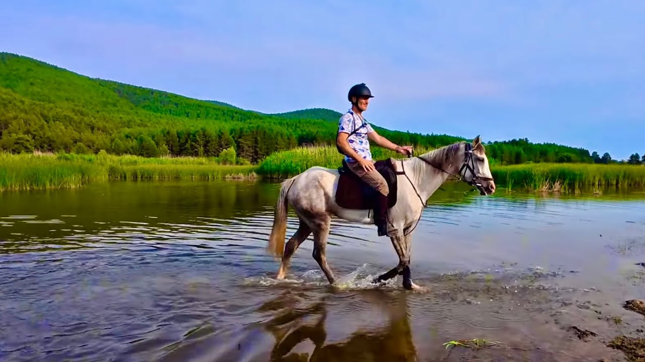 ATLI SAFARİ (Çamlıdere Biniclik) (Çamkoru M.P.)