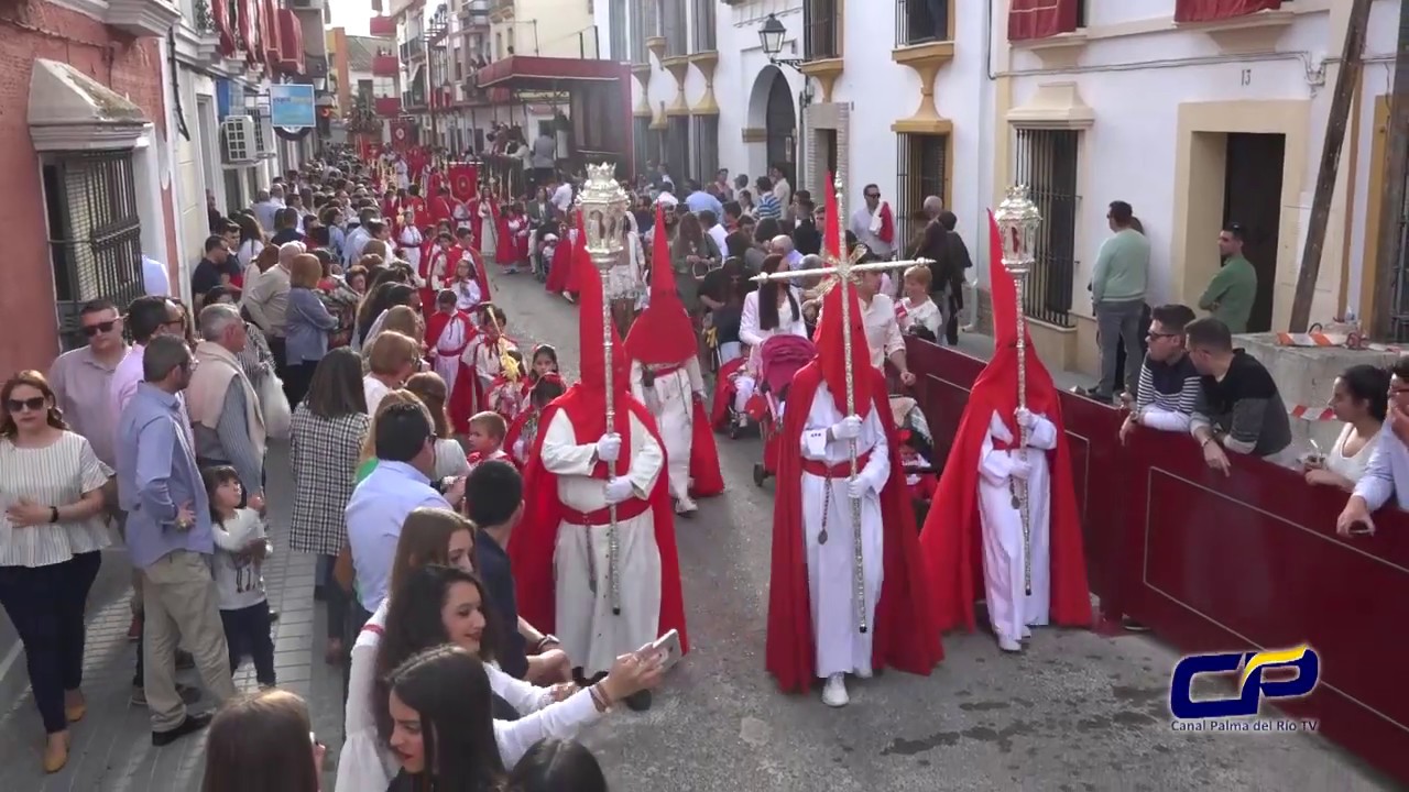 Hdad. de la Borriquita 2019 (2) FACEBOOK: Canal Palma del Río