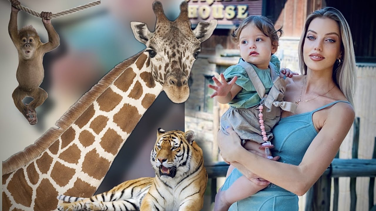 ანისია პირველად ზოოპარკში | First time at the ZOO  | vlog