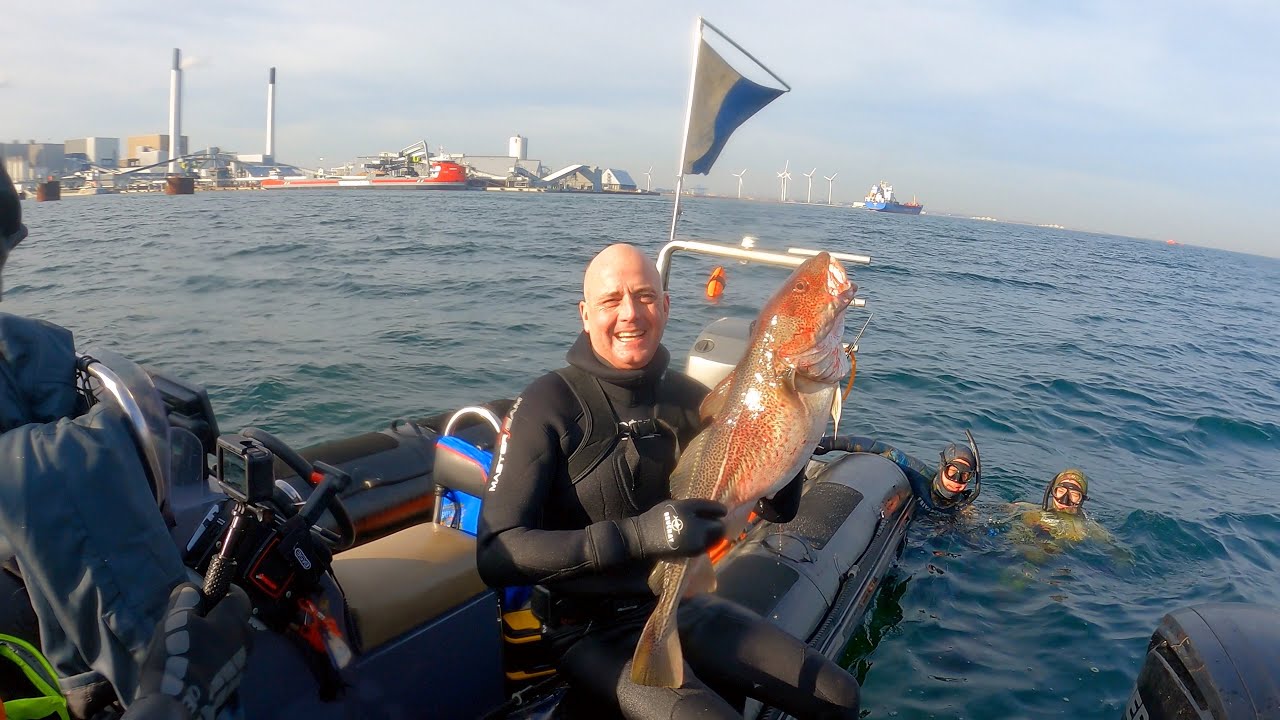 Spearfishing shipwrecks in Copenhagen (UV-jagt i Februar)