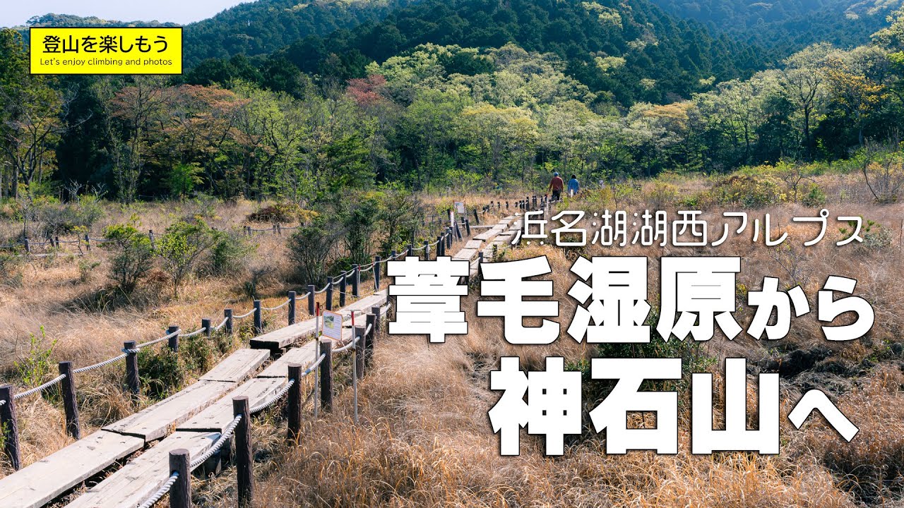 【登山】初心者におすすめ　湖西アルプス神石山　葦毛湿原から