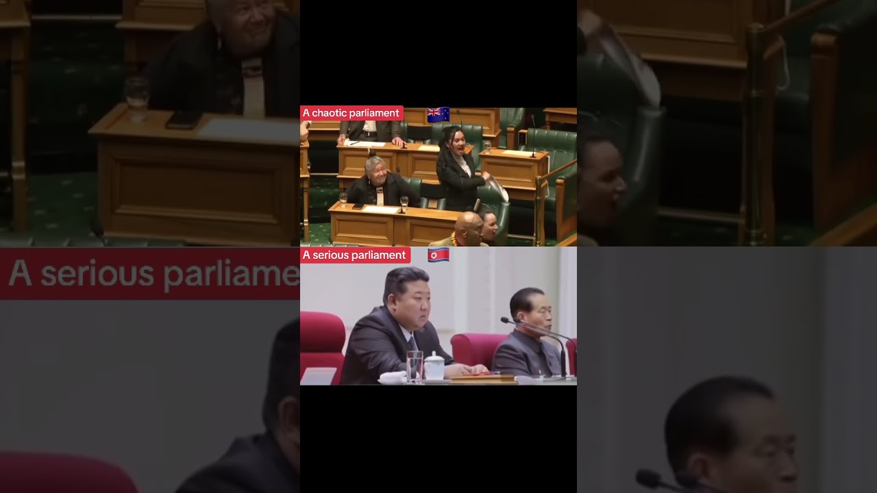 It is clear at a glance whose parliament is efficient #northkorea #kimjongun #election #newzealand