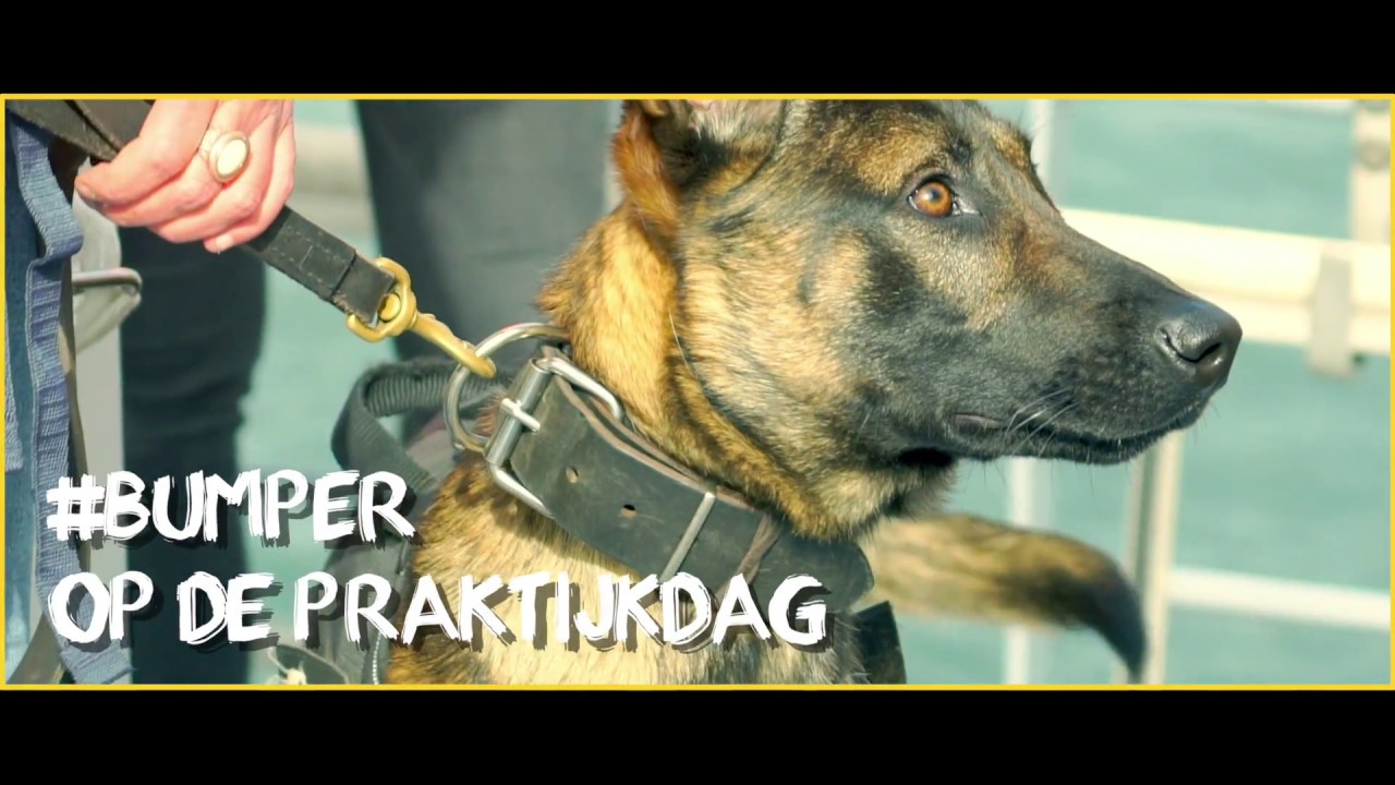 Bumper bij de landelijke praktijkdag