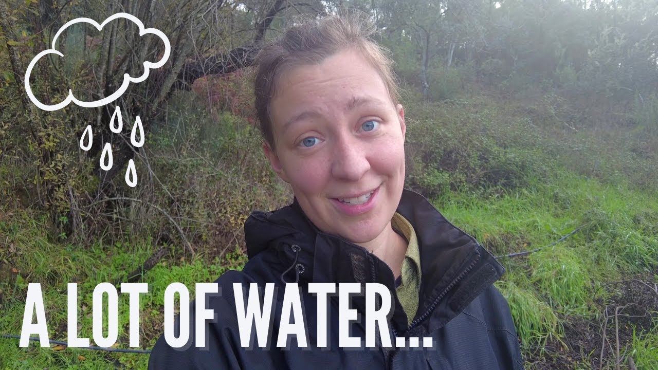 This is what extreme rainfall does to our land