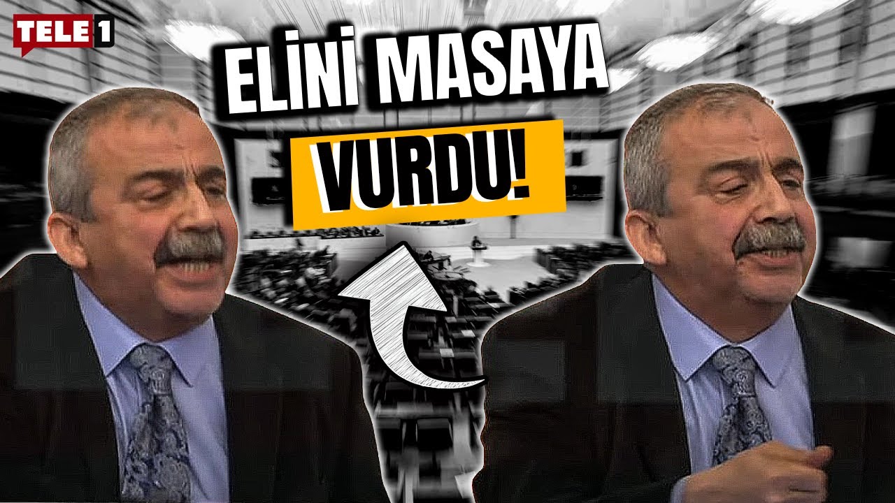 Sırrı Süreyya Önder kendisine 'Sen ne biçim başkansın lan' diyen AKP'li vekile ateş püskürdü!