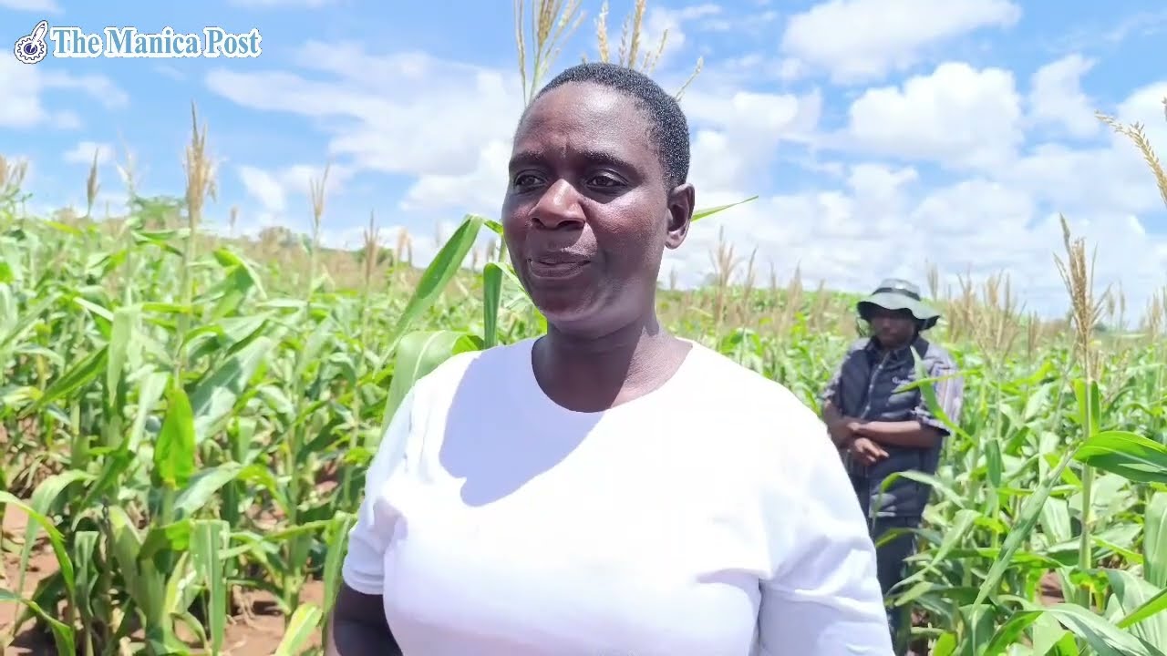Organic fertilisers, regenerative techniques revitalise rural fields