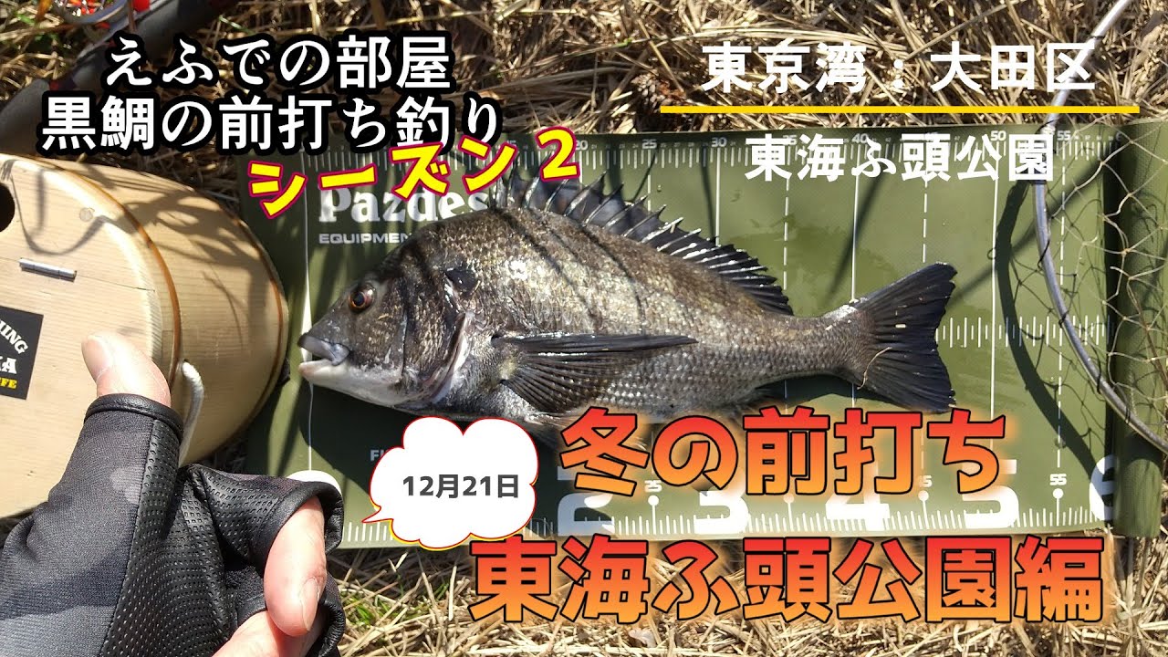 冬の前打ち・東海ふ頭公園編