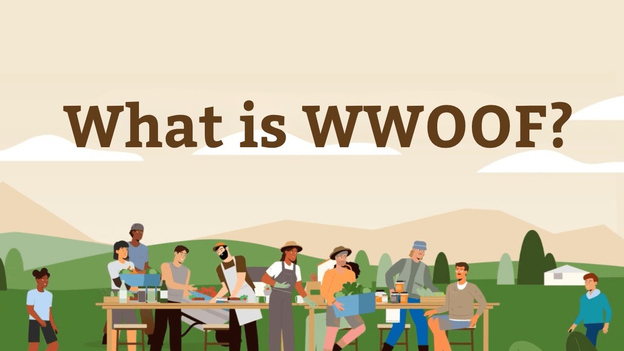 What is WWOOF?