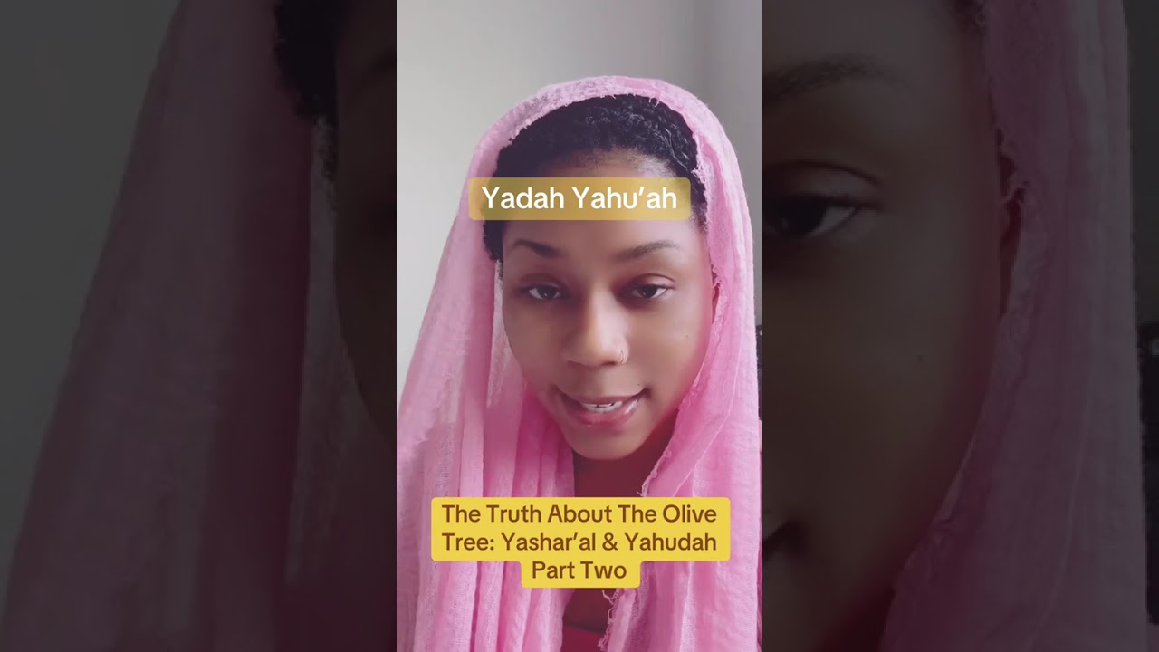 The Truth About The Olive Tree: Part Two