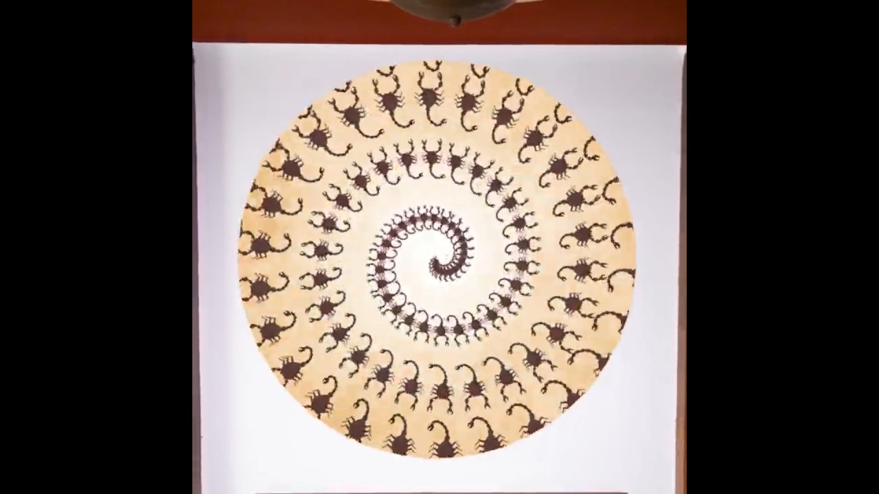 Orosc&ograve;pio #animation #phenakistoscope #precinema #zodiac #cutoutanimation #horoscope #astrology