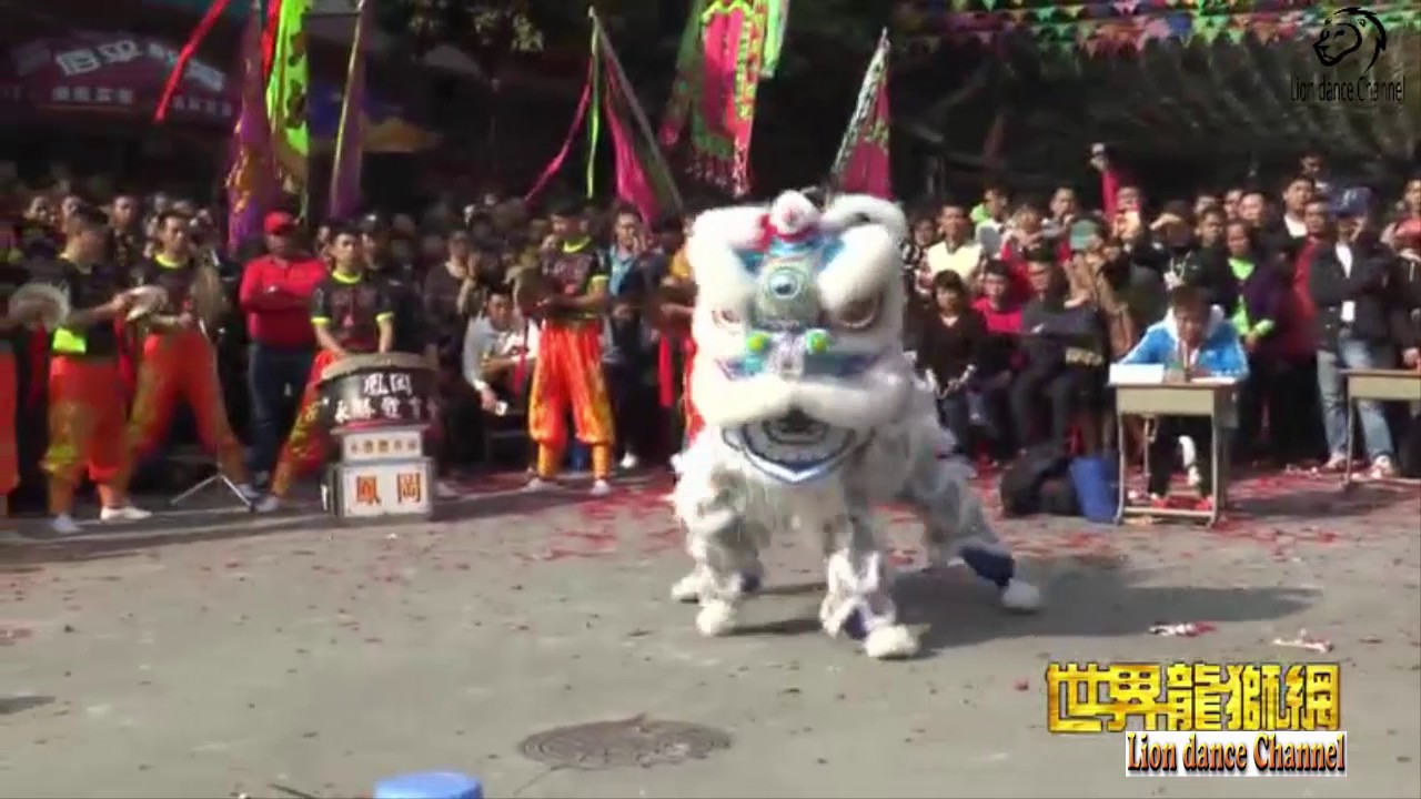 Lion dance 2016 || China Guangzhou Jinshazhou Fenggang Yongsheng Sports Association