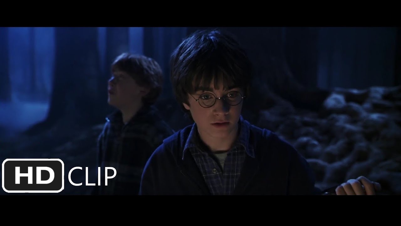 Follow The Spiders | Harry Potter and the Chamber of Secrets