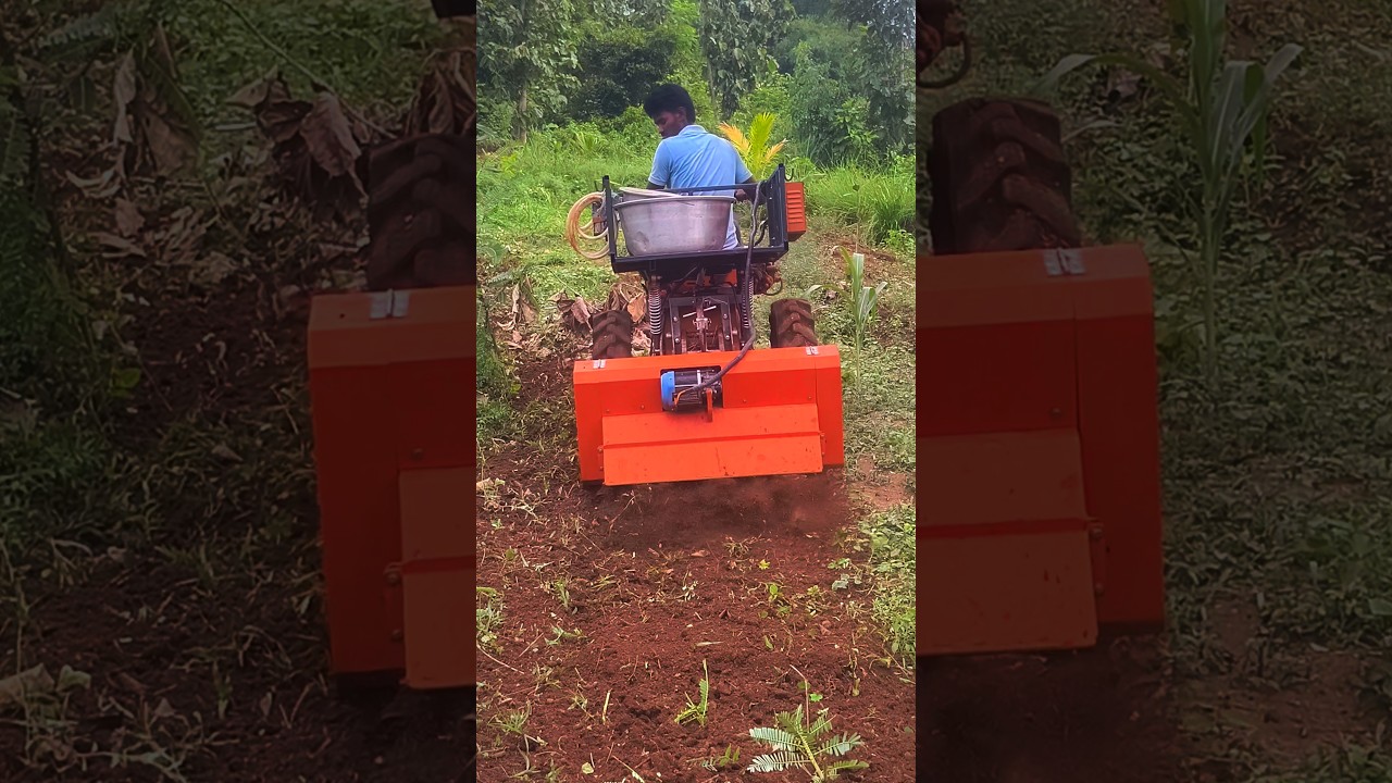 Part 49 of our Natural Farming Journey 🌴