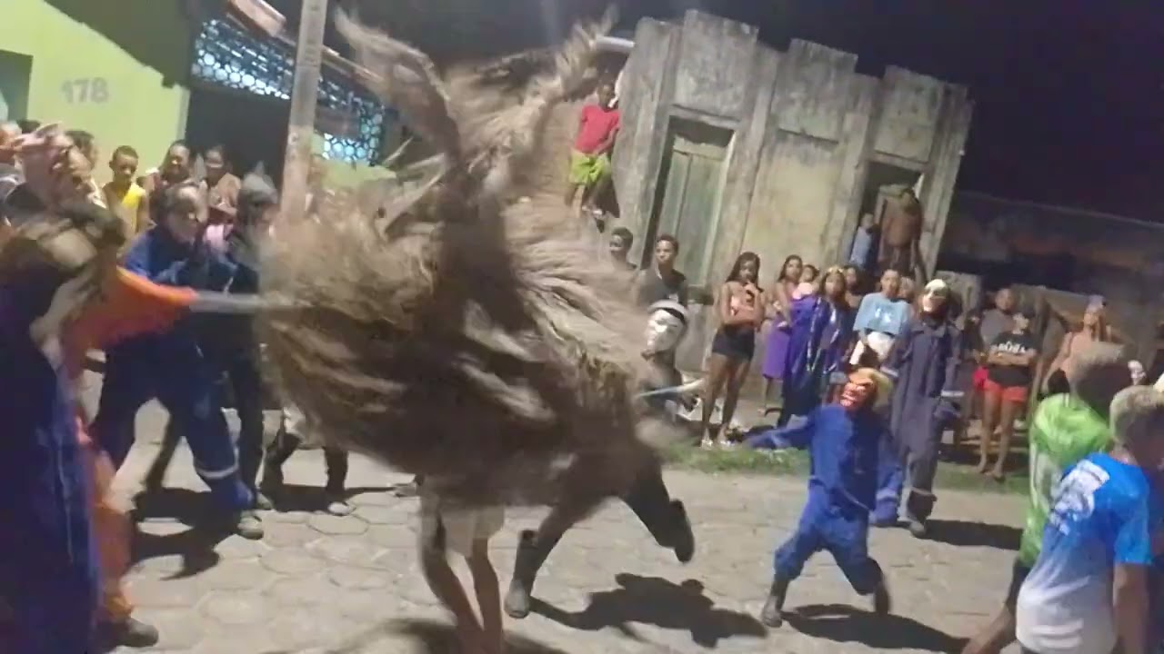 Boi duro RBV em Belmonte Bahia 