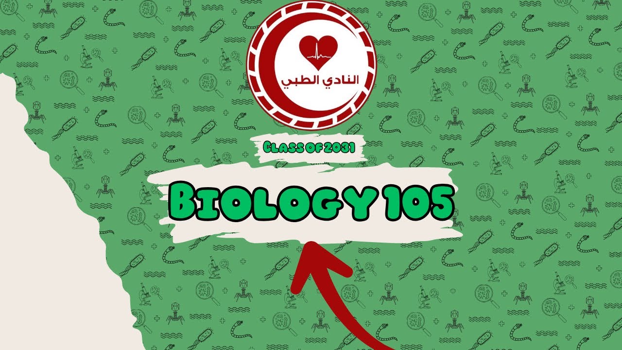 Lecture 23 - Dr. Abeer
