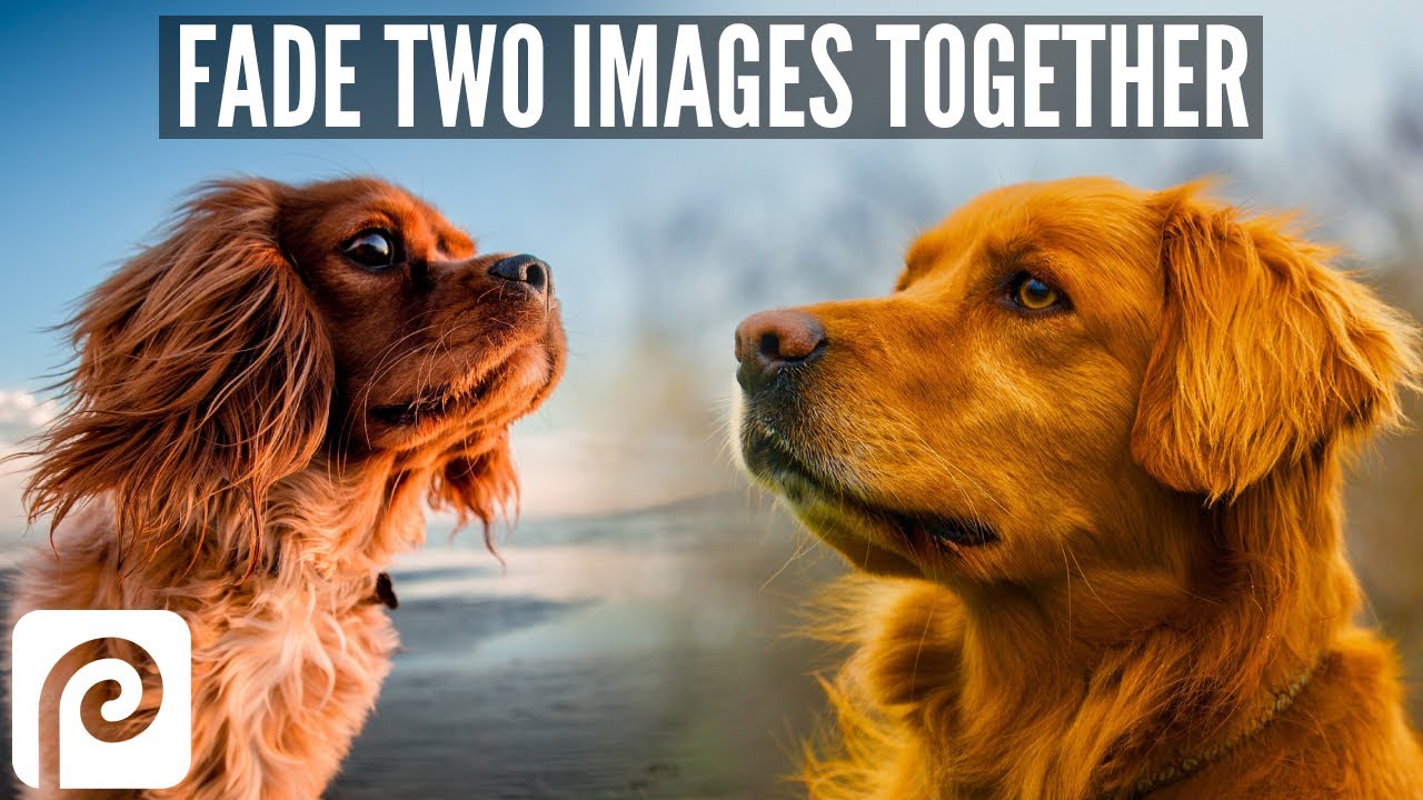 Fade two images together in Photopea