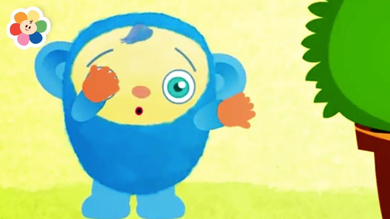 COUCOU JE TE VOIS | Jeux amusant pour les enfants | BabyFirst