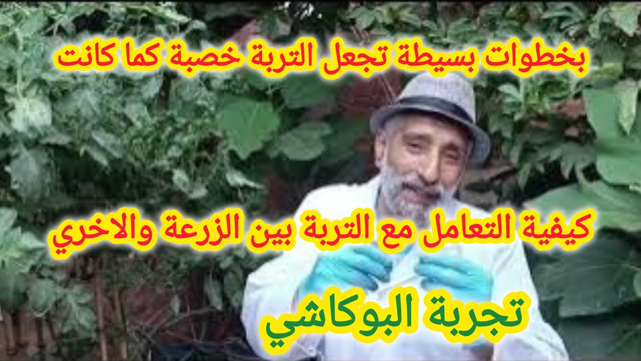 زراعة الملوخية والبامية في تربة وسماد البوكاشي