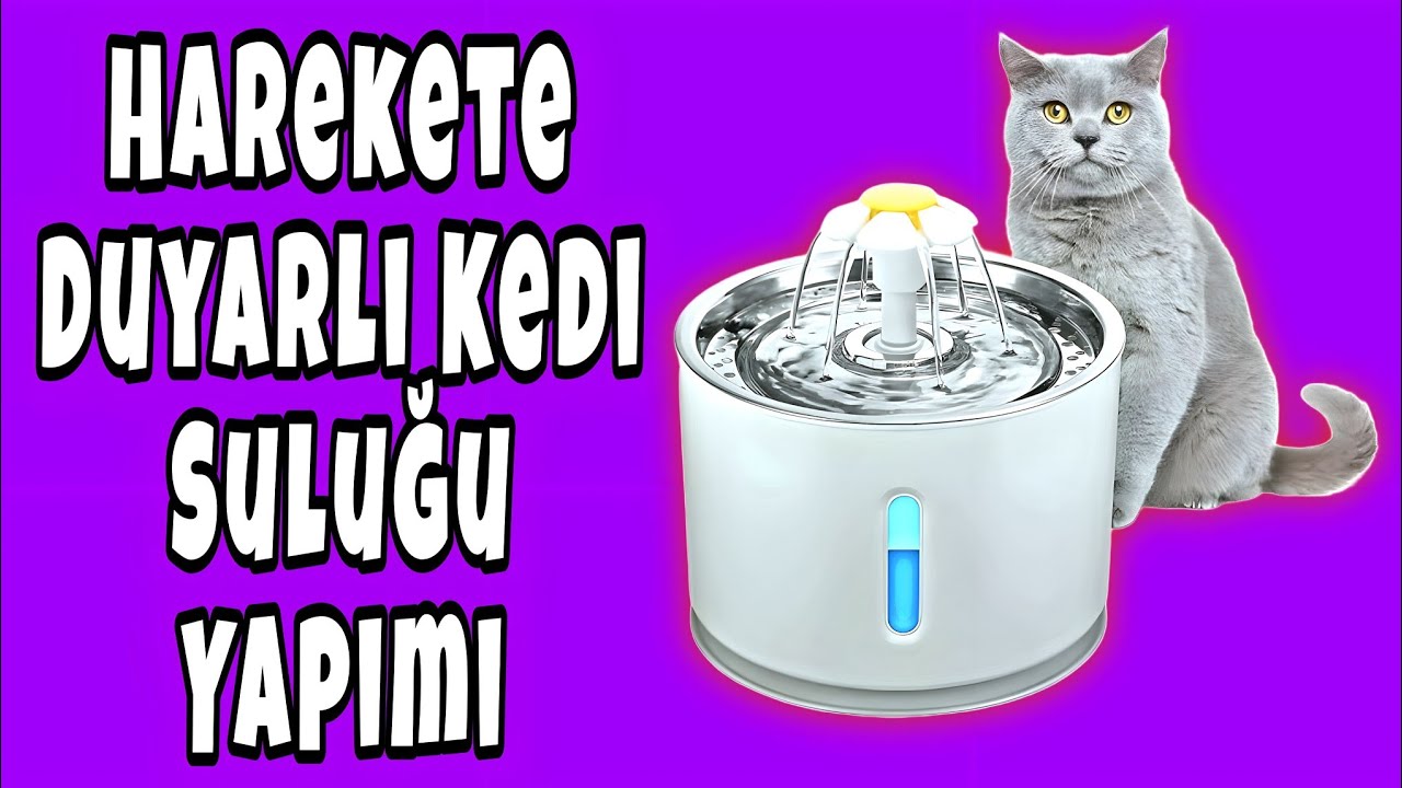 Harekete Duyarlı Kedi Sebili - Suluğu Yapımı