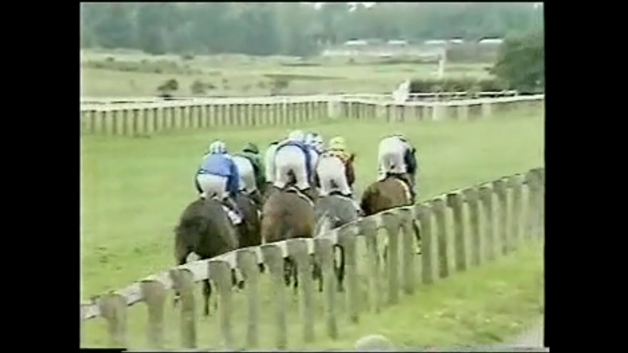 1985 Beswing Stakes Newcastle