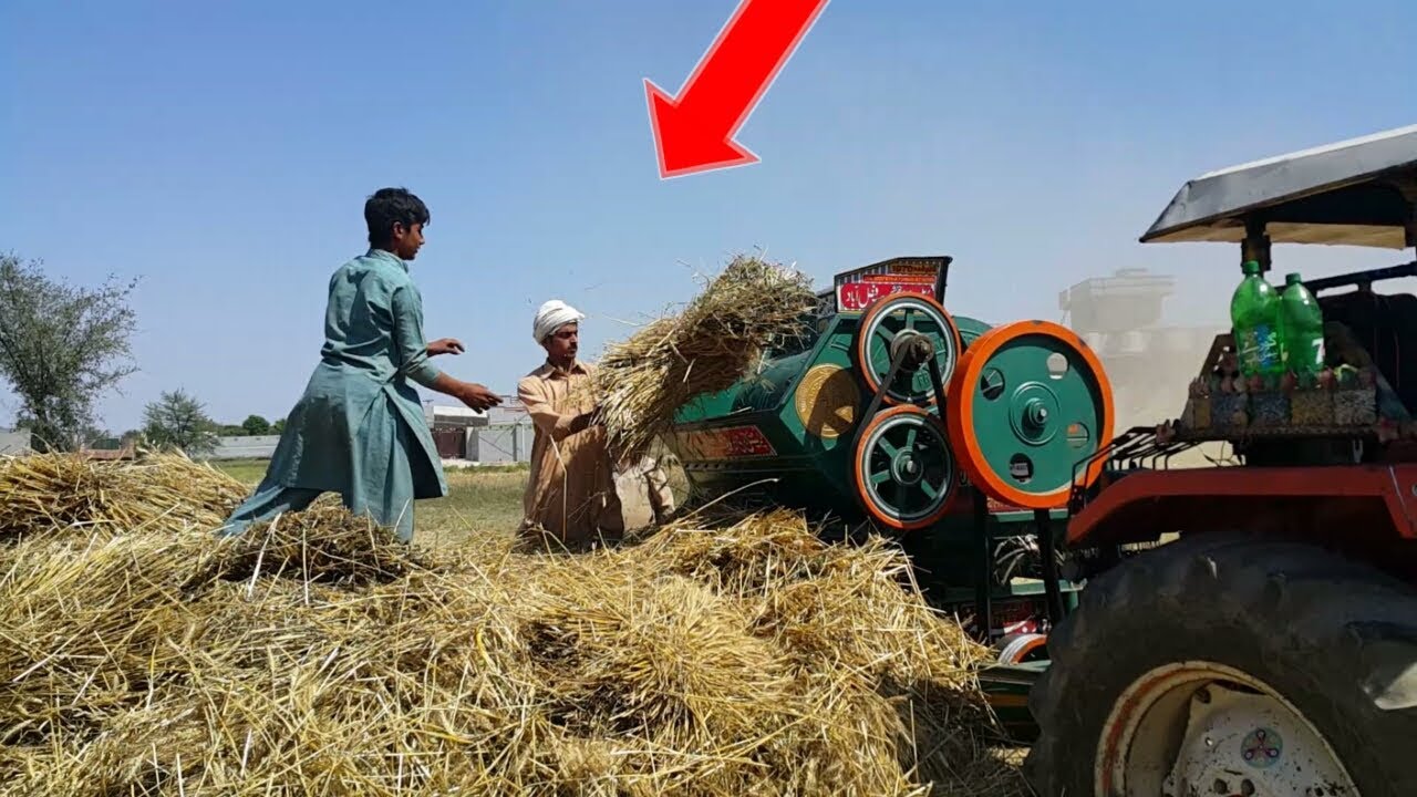 Wheat  Harvesting | Wheat Thrasher | PTO Power of Fiat Tractor