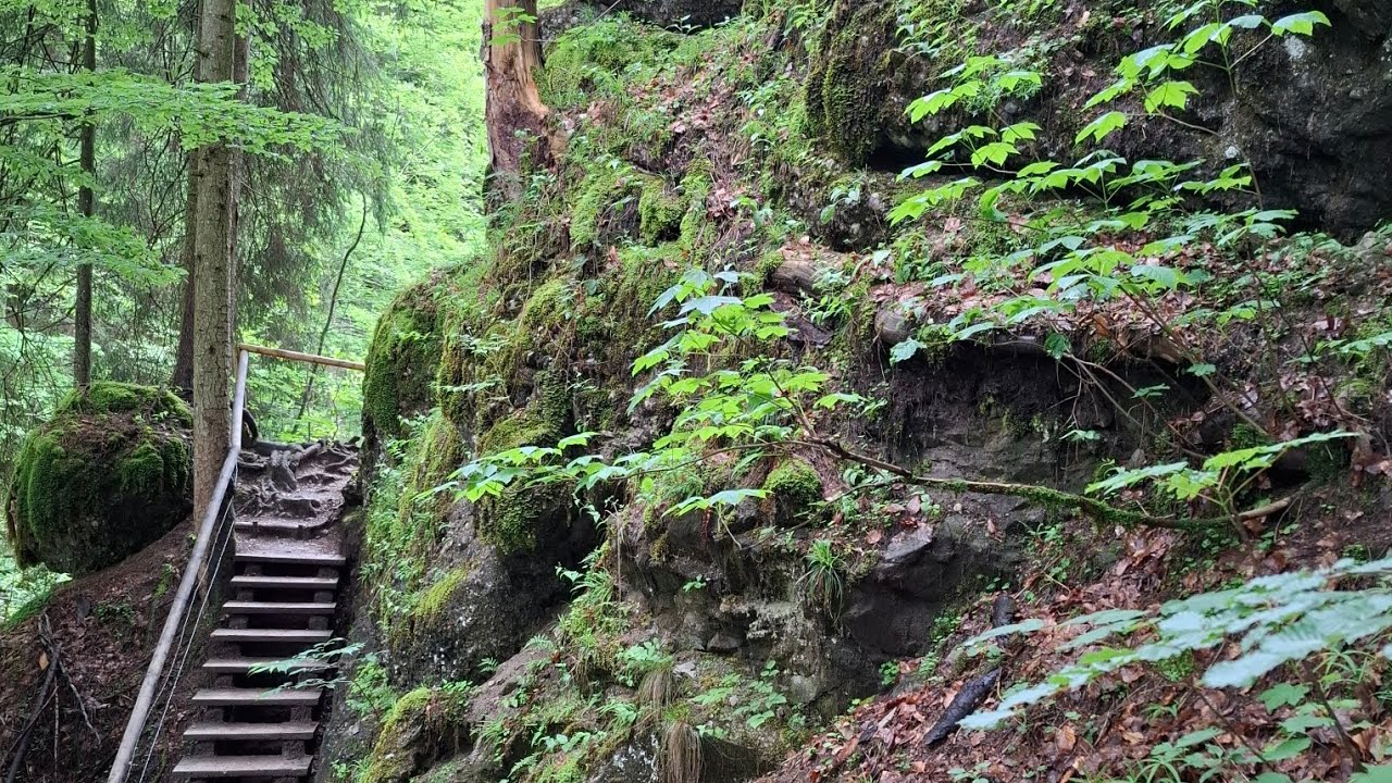 Wandern im Allg&auml;u, Gunzesrieder Tobel, Wanderweg am Wasser