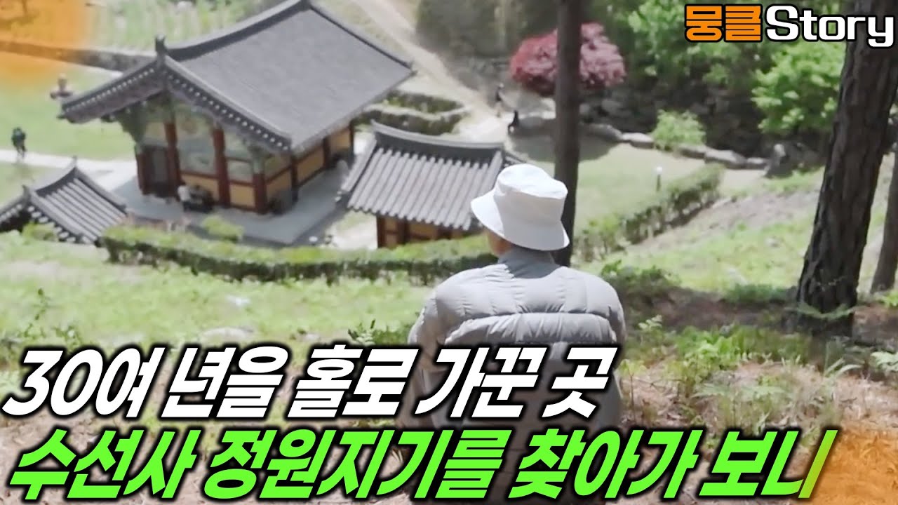 스님 홀로 사찰을 정원으로 가꿨다? 수선사에 가보니 [KBS 20230526 방송]