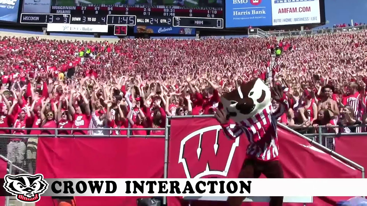 Bucky Badger National Highlights 2015-2016